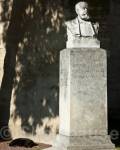 Poet and black cat, Avignon, Vaucluse (department 
84), France