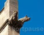 Gargoyles, Avignon, Vaucluse (department 84), France