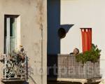 Man on balcony, Nimes, Gard (department 30), France